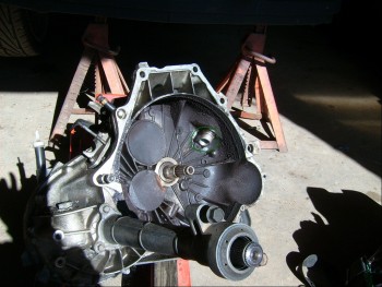 V6 Manual Transmission