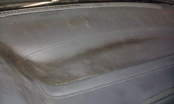 IMAG0095.jpg