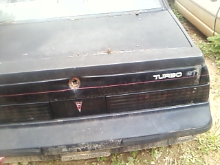 sunbird.jpeg