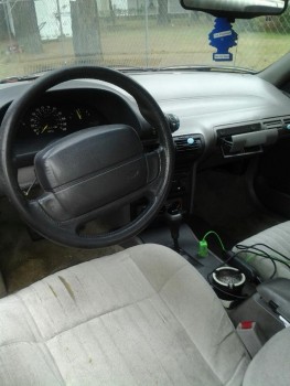 imagejpeg95201.jpg