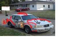 The Crappy Cougar