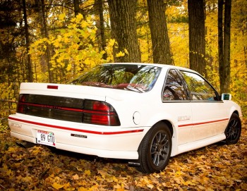 rear2.jpg