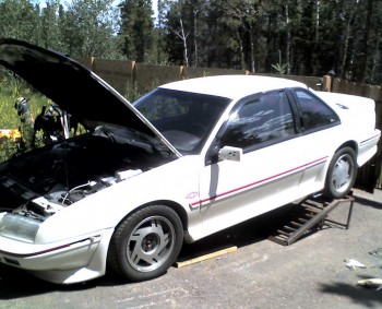 08-03-09_1126.jpg (314.98 KiB) Viewed 5249 times Here is my Super Charged 3800 II GTU, after the engine and five-speed swap, but before the six-speed conversion and the theft of my GTU rims (she has been wearing GTZ wheels for a few years now).