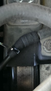 IMAG0139.jpg