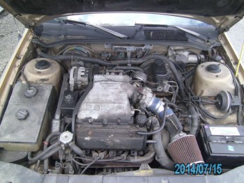 PICT0412-1024.jpg
