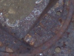 100_5059.JPG