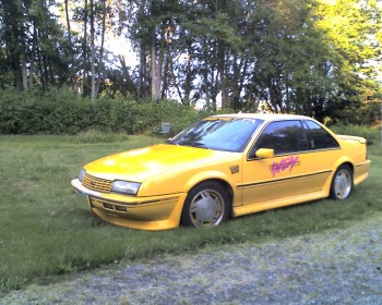 06-10-13_wased-n-waxed1a.jpg (374.89 KiB) Viewed 12464 times '90 Indy, Yellow/Grey and Yellow.
