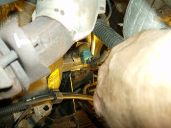 HPIM1108.JPG