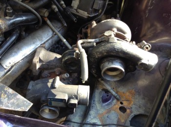 Twin-T1b.jpg (1.23 MiB) Viewed 9745 times Snail racing!