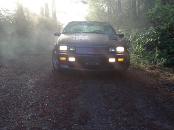 Euro-style lights and a foggy morning, what could go together better than that?