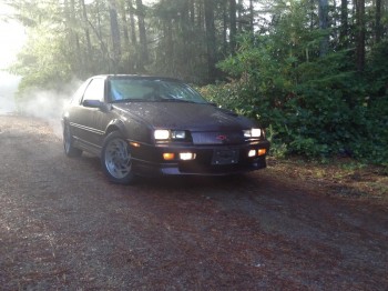 FtQtrRgt1a.jpg (147.83 KiB) Viewed 16217 times EDIT: There, that is better! Much better pic than the other one...