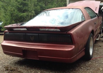 GTA Rr Qtr 1a.jpg (183.08 KiB) Viewed 13143 times First-Year GTA, L98 car. Getting '89 TTA 'Tribute' mods...