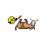 dead horse :deadhorse: